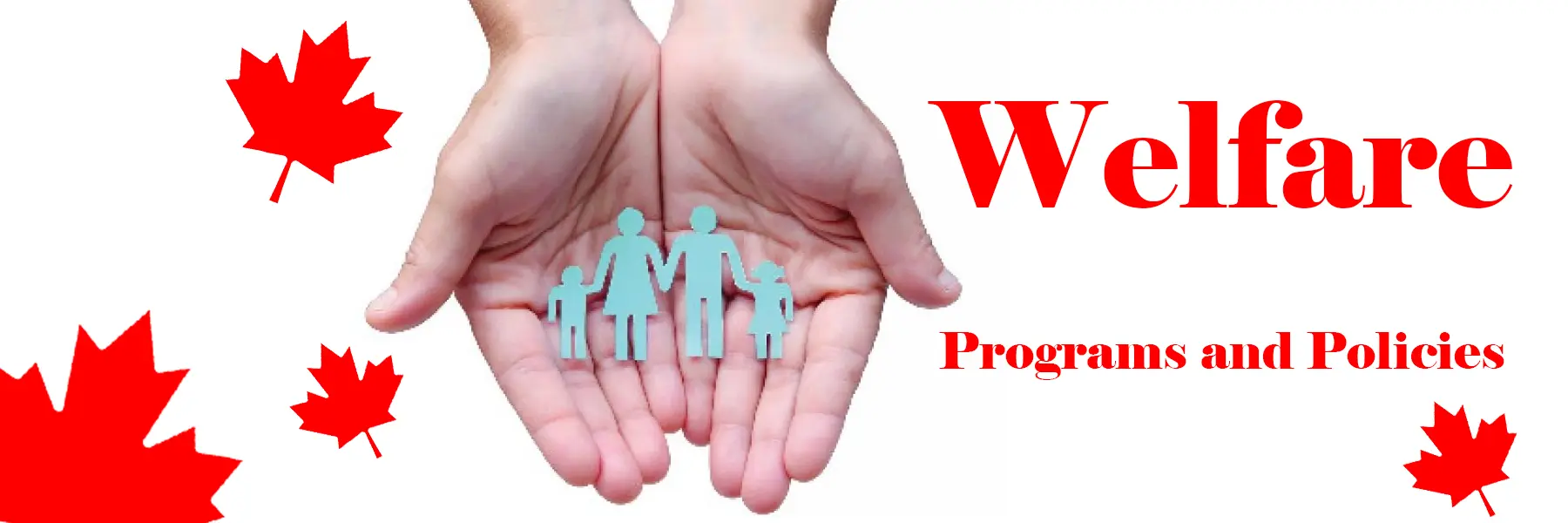 Wolfer Program 